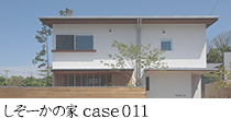 wks_idx_h_s11.jpg